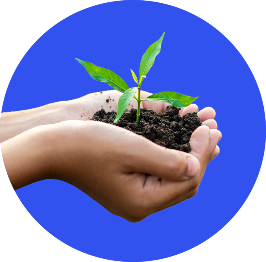A pair of hands holding soil with a plant growing from it.